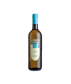 Vino Terra Reale Trebbiano Bianco IGT cl 75x12