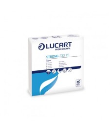 Tovagliolo 33x33 50 pz x 48 cf  233/T5 Lucart