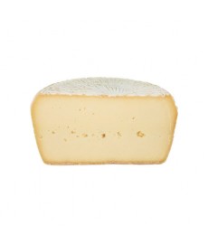 Pecorino Fresco